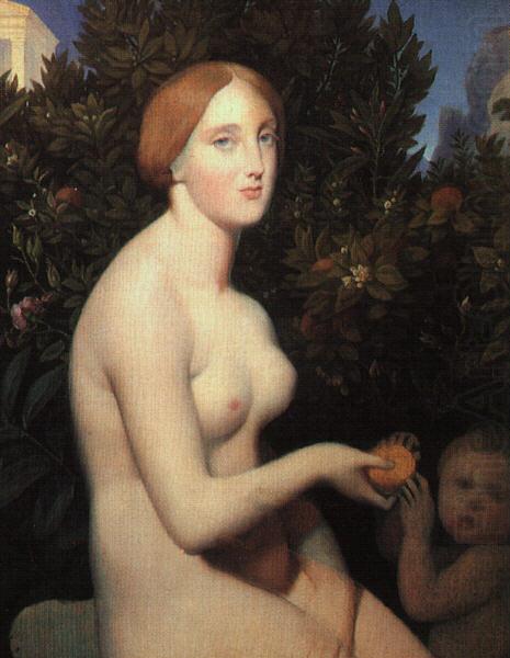 Jean-Auguste Dominique Ingres Venus at Paphos china oil painting image
